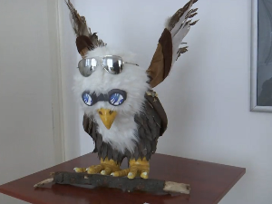 Посебна уметничка прича – „наравообученија" на Доситејевим данима