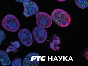 Историја науке:	Никола Тесла