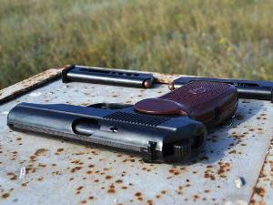 Стефановић: Већа количина треба да буде држање и ношење више од два комада оружја и 60 метака