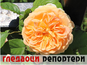 Гледаоци репортери (26. мај 2023.)