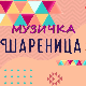 Музичка шареница