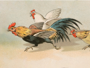  Добро јутро децо: Сан у коме је јаје 