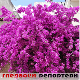Гледаоци репортери (28. мај 2023.) Гледаоци репортери (28. мај 2023.)