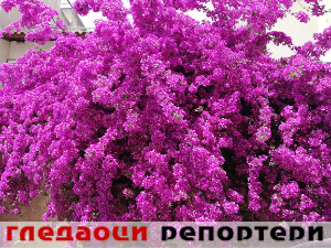 Гледаоци репортери (28. мај 2023.)