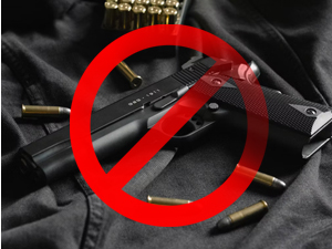 Влада предлаже мораторијум на издавање дозвола за оружје и измену Кривичног законика