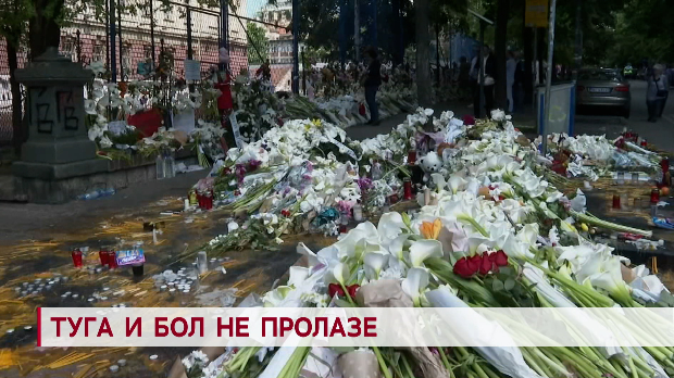 Дневник: Туга и бол не пролазе