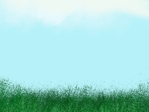  Добро јутро децо: Унгули 