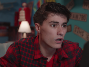 Муке једног лава - Шајкаши, пирати са Дунава