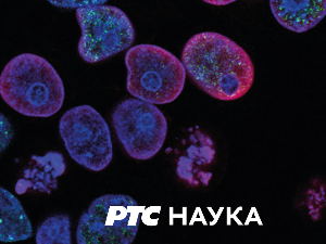 Декодирање, 6. емисија