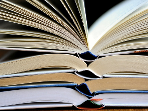 У ужем избору за награду „Васко Попа“ четири књиге