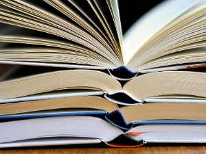 Ерик Фасен: Полна демократија (2)