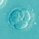 Научници успели да синтетишу људски ембрион – добра или лоша вест