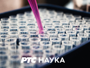 Привредна историја Србије: Запис барона Хердера