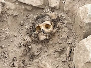 Археолози открили 3.000 година стару мумију испод седам тона смећа