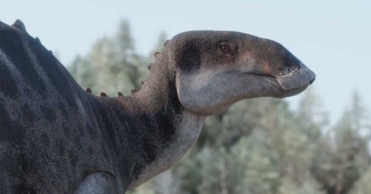 Остаци диносауруса с пачјим кљуном у Чилеу мењају представе научника о њиховој распрострањености