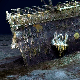Нестала подморница за обилазак олупине Титаника, сумња се да је међу путницима и милијардер Хардинг
