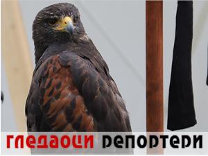 Гледаоци репортери (3. јун 2023.)