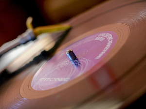 We care about disco!!!