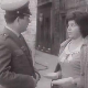 Палма међу палмама
