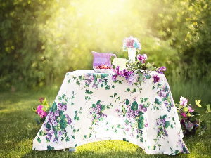 Летња башта- Супер 8 Д`н`Р