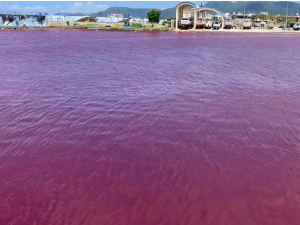 У Јапану смарагдно плаво море за трен поцрвенело