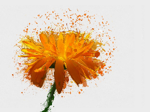  Радио Невен, 1. епизода 