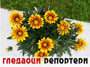 Гледаоци репортери (6. јун 2023.)