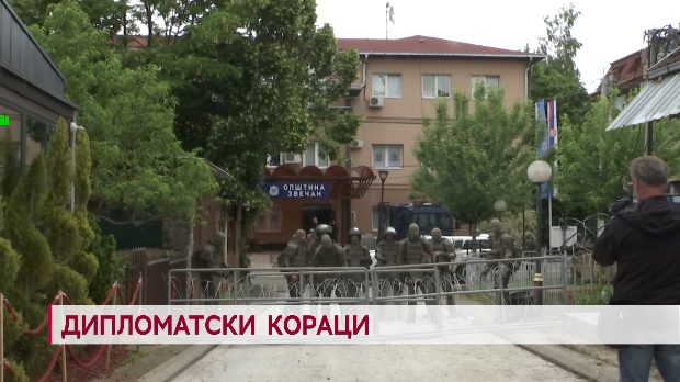 Дневник: Дипломатски кораци
