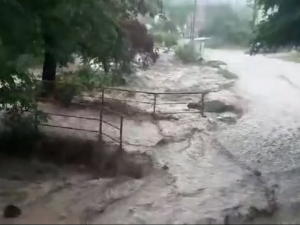 Хидролог Владиковић: Неочишћени канали највећи проблем, додатни опрез за слив Саве