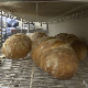 Хлеб "сава" јефтинији за три динара – падају ли цене других пекарских производа