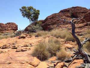 Људске тајне у песку времена –  археолози мапирају скривени пејзаж  Аустралије где су се појавили први Аустралијанци