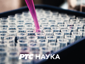 Паркови природе:	 Тара