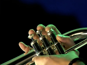 "Jazz in the Garden" у Ботаничкој башти, трећи пут