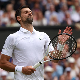 Новакових 100 мечева на Вимблдону кроз бројке – најважнија изостављена