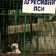 Напад пса у Сремчици узнемирио јавност, ко је одговоран