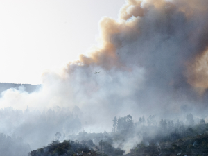 Ватра гута куће и шуме на Канарским острвима, евакуисано више од 4.000 људи