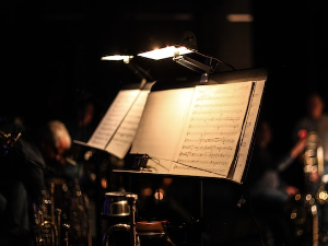 Уметност интерпретације – Диригент Јевгениј Мравински