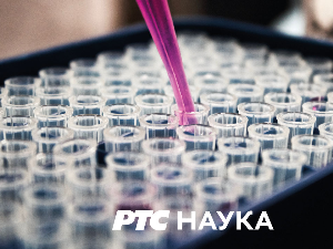 Шта су све технологије урадиле за нас:	Дигитална култура и медији