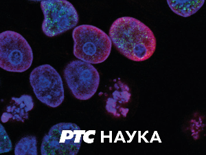 Шта су све технологије урадиле за нас:	Зелене информационе технологије   