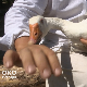 Скупљачи перја