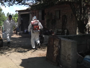 Танасковић: Апел газдинствима да не крију појаву свињске куге