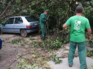 Штета од суперћелијских олуја се и даље процењује – коме се обратити када дрво падне на аутомобил
