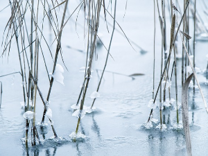 Имагинарни пејзажи