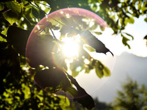 Ритам летњег јутра