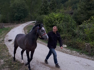 Квадратура круга-Борике ергела коња