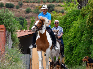 Бичем до профита – коњ у Грчкој угинуо превозећи туристе, бурне реакције јавности
