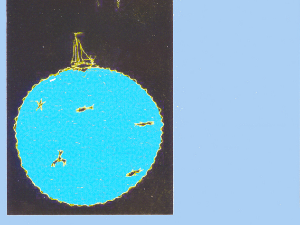 Имагинарни пејзажи