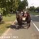 1001 Траг - Монти чардаш