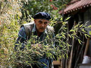 Пси лају ветар носи 1, 5-11