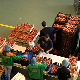 Воће и поврће контролишу 134 инспектора, обука за 200.000 пољопривредника